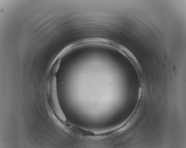 X0000081490860200701121508