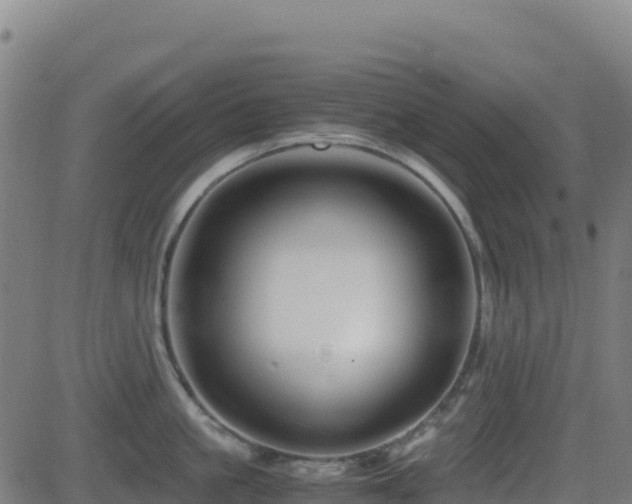 X0000081490861200701121508