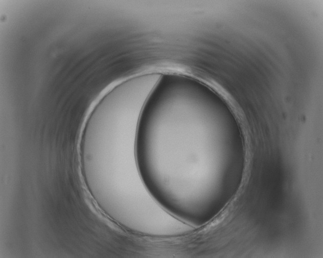 X0000081490864200701121508