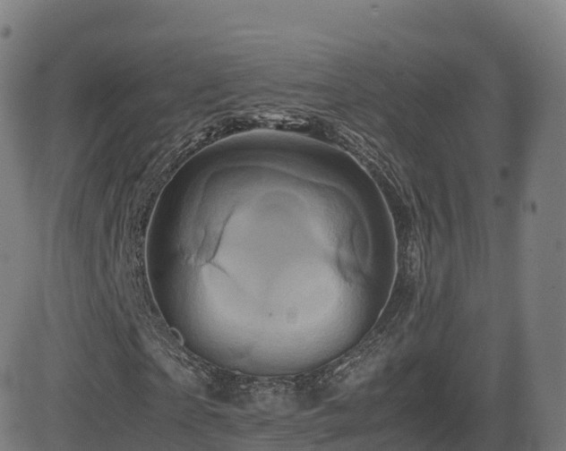 X0000081490865200701121507