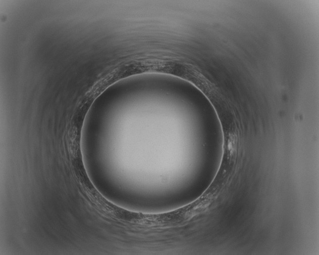 X0000081490867200701121507