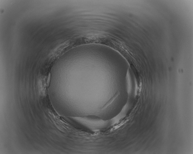 X0000081490868200701121507