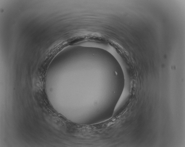 X0000081490869200701121507