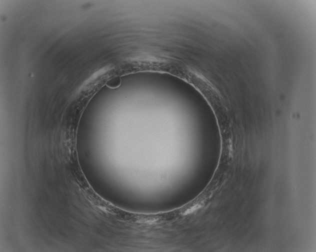 X0000081490870200701121507