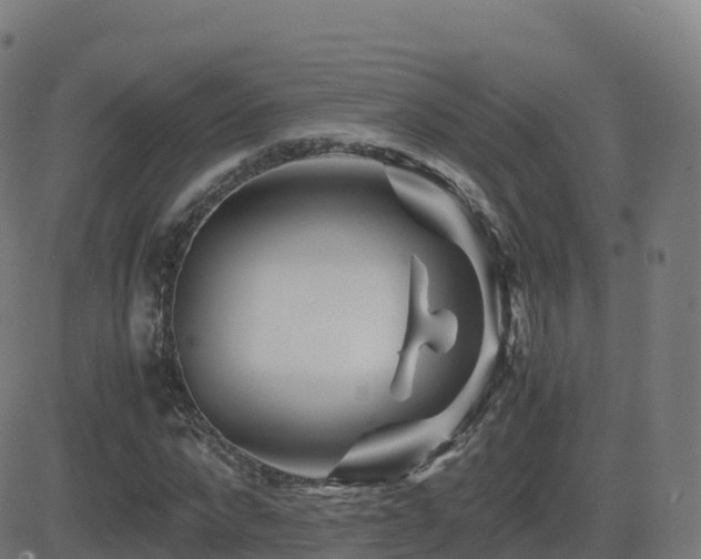 X0000081490872200701121507