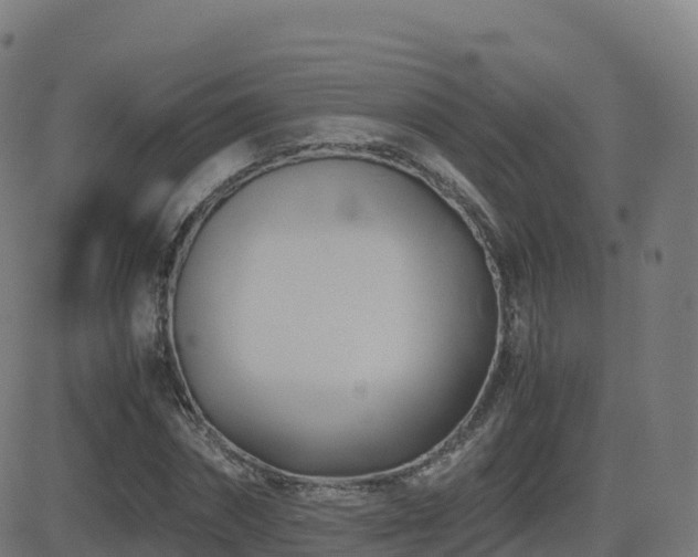 X0000081490874200701121507