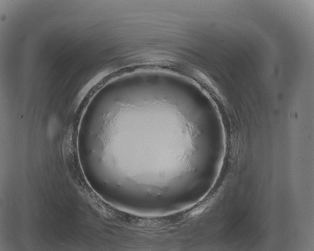 X0000081490875200701121507