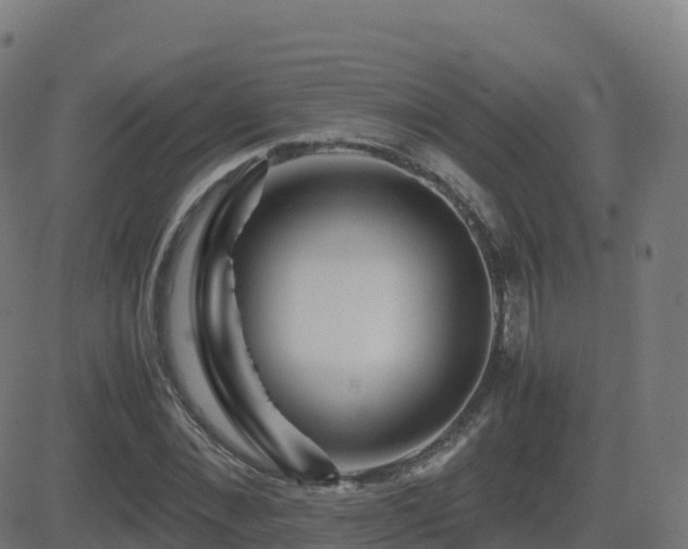 X0000081490876200701121507