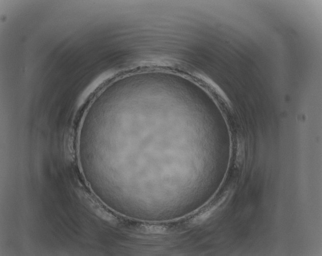 X0000081490878200701121507