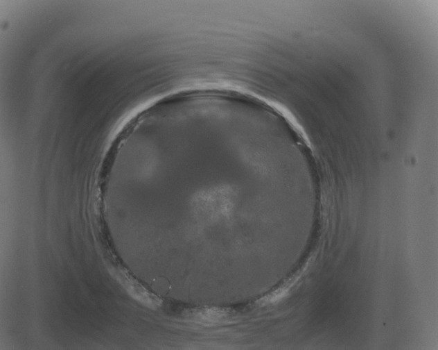 X0000081490879200701121507