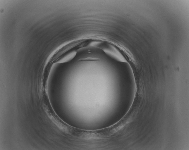 X0000081490880200701121507