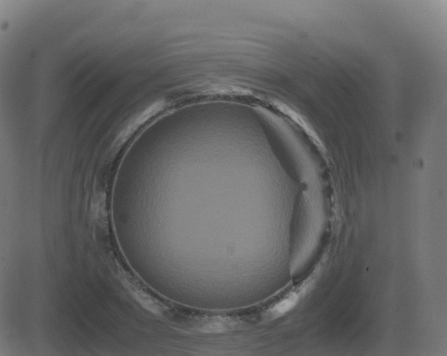 X0000081490881200701121507