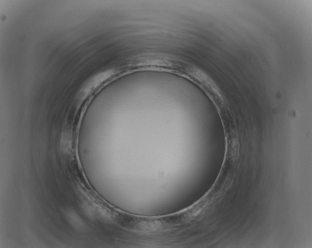 X0000081490882200701121507