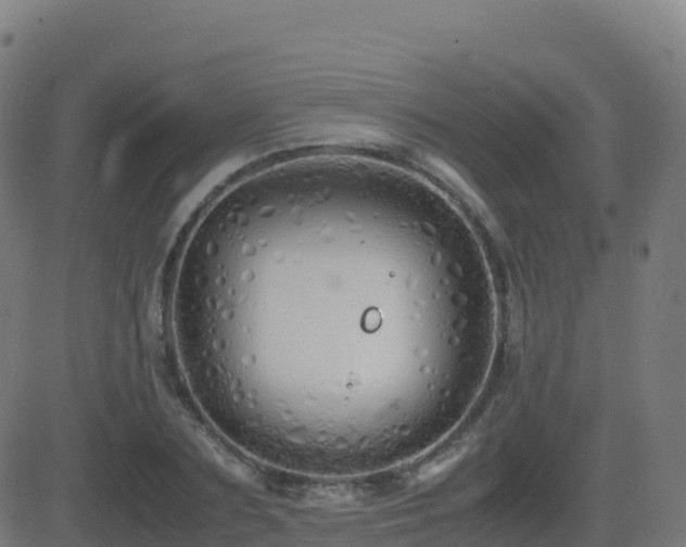 X0000081490883200701121507