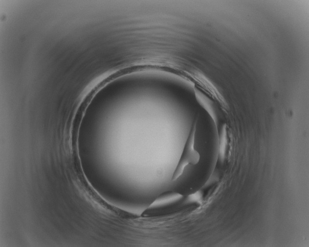 X0000081490884200701121507