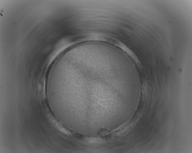 X0000081490886200701121507