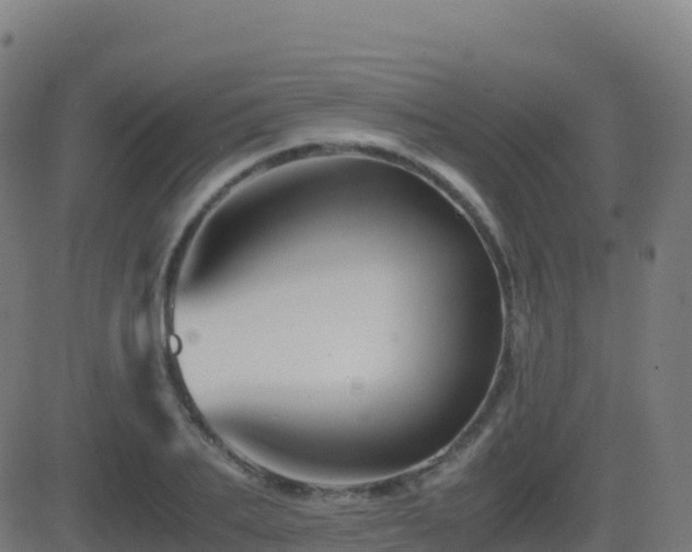 X0000081490887200701121507