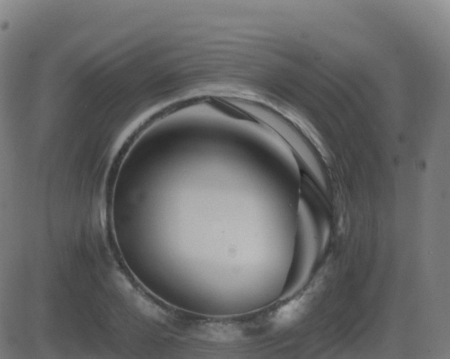 X0000081490888200701121507