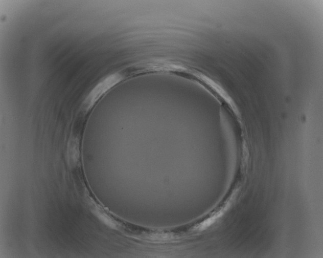 X0000081490889200701121507