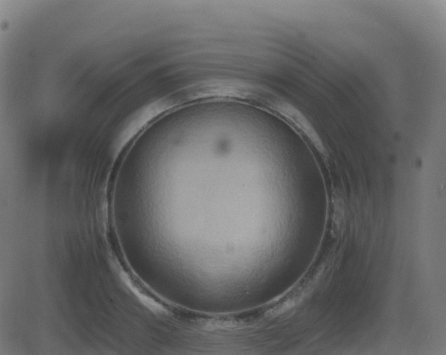 X0000081490890200701121507