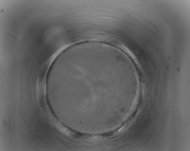 X0000081490891200701121507