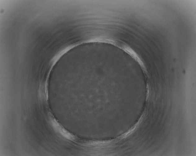 X0000081490892200701121507