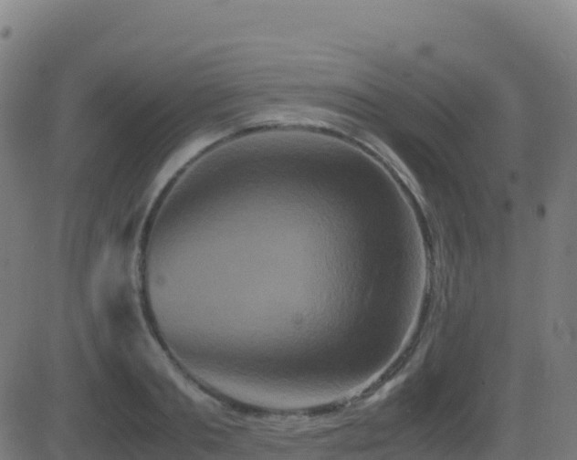 X0000081490893200701121507