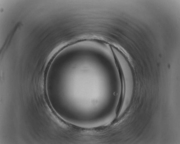 X0000081490894200701121507