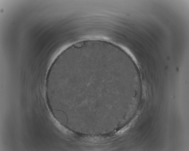 X0000081490895200701121507