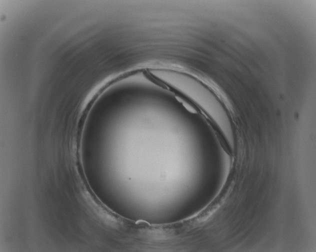 X0000081490896200701121507