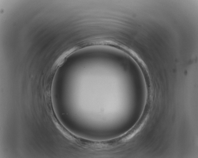 X0000081490897200701121507