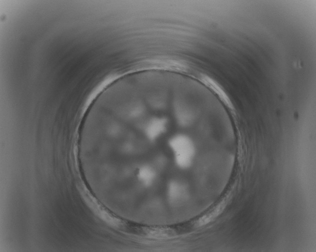 X0000081490899200701121507