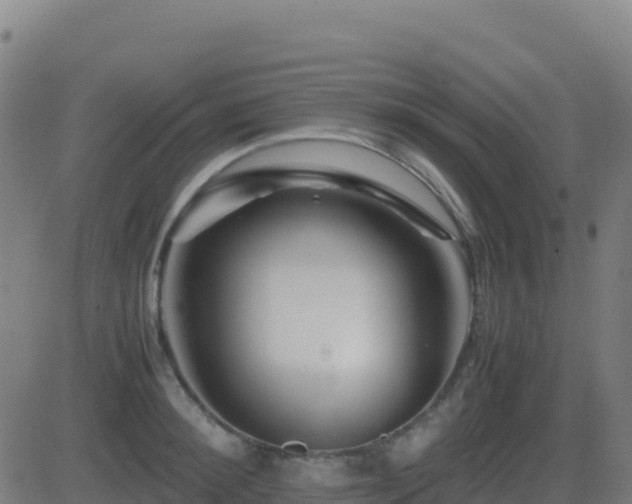 X0000081490900200701121507