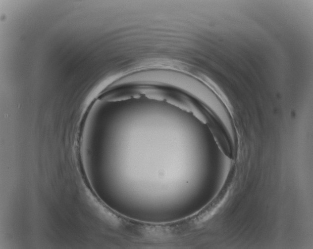 X0000081490901200701121507