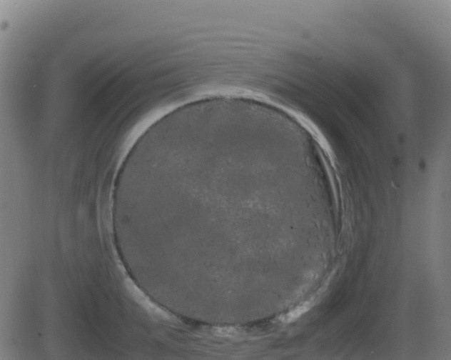 X0000081490903200701121507