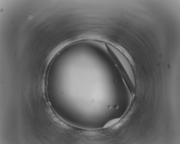 X0000081490904200701121507