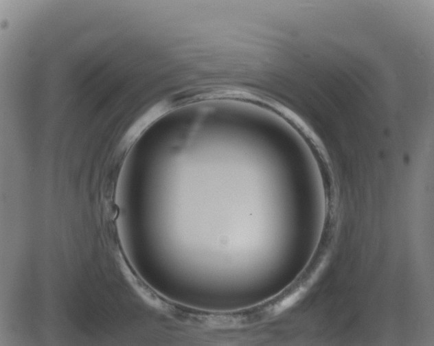 X0000081490905200701121507