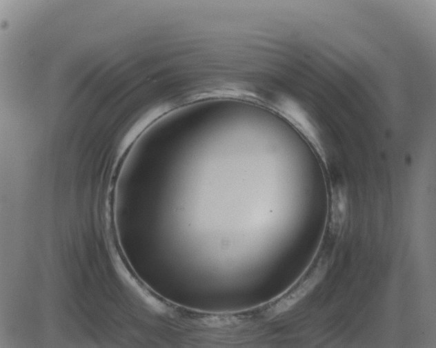 X0000081490906200701121507