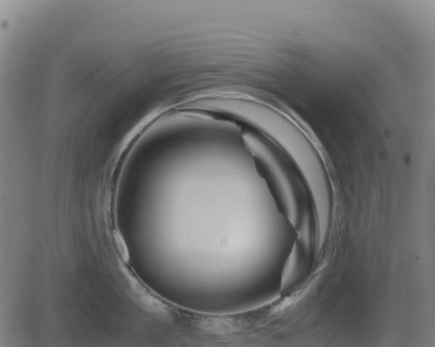 X0000081490909200701121507