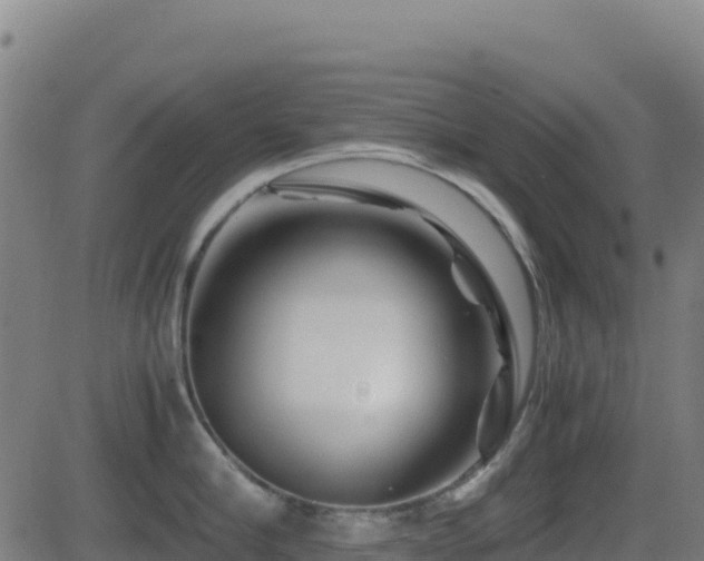 X0000081490910200701121507