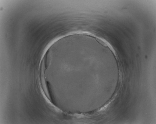 X0000081490911200701121507