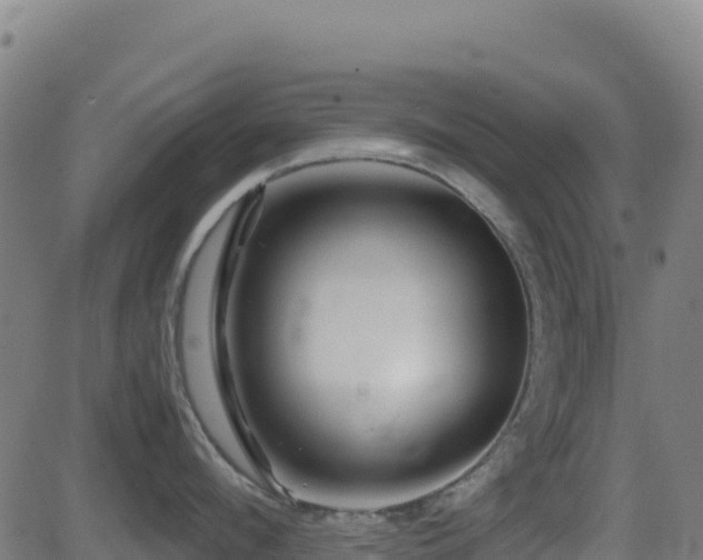 X0000081490912200701121507