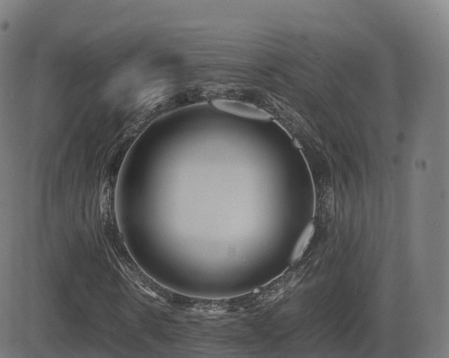 X0000081490914200701121506