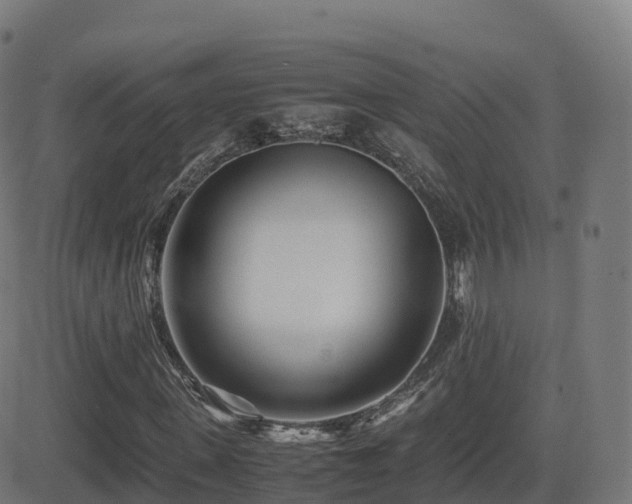 X0000081490915200701121506