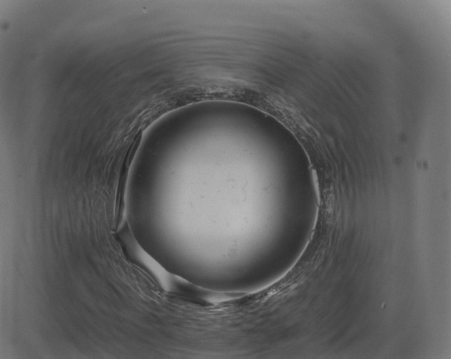 X0000081490916200701121506