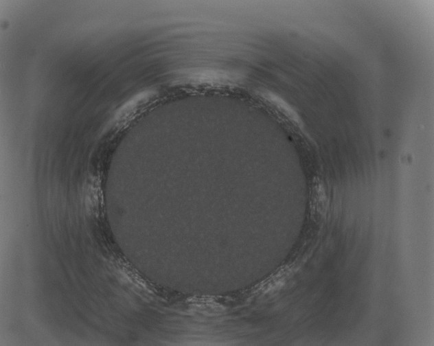 X0000081490918200701121506