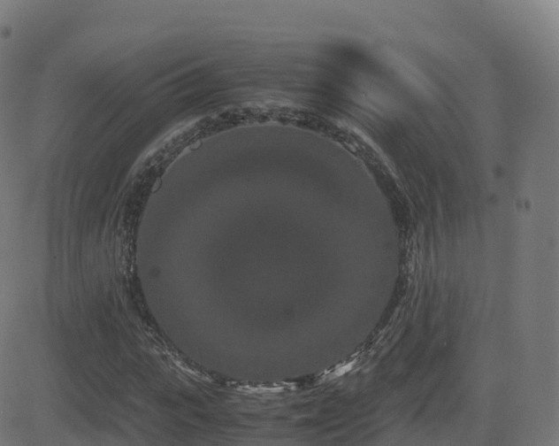 X0000081490919200701121506