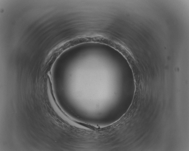 X0000081490920200701121506