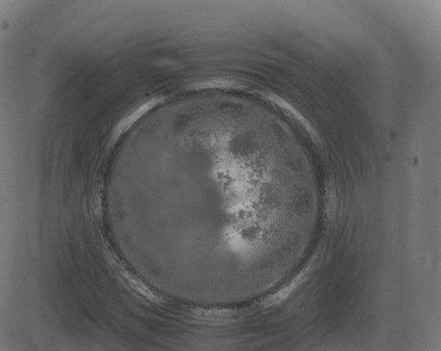 X0000081490921200701121506