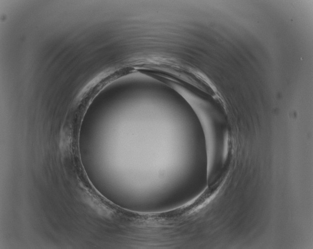 X0000081490922200701121506